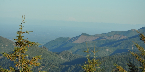 Mount Adams 