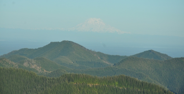 Mt. Rainier 