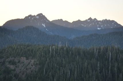 olympic mountains