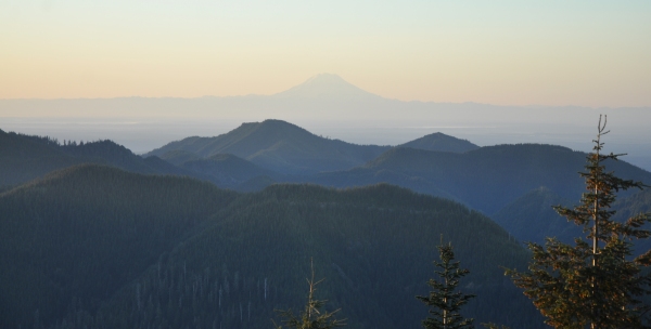 Mt. Rainier 