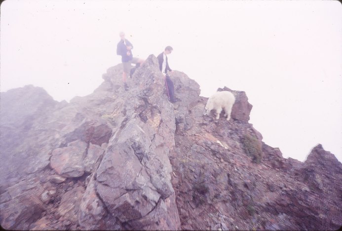 hiking mount washington