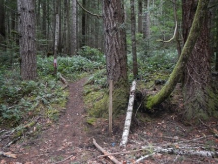 Pyramid Mountain Trail