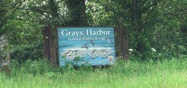 grays harbor