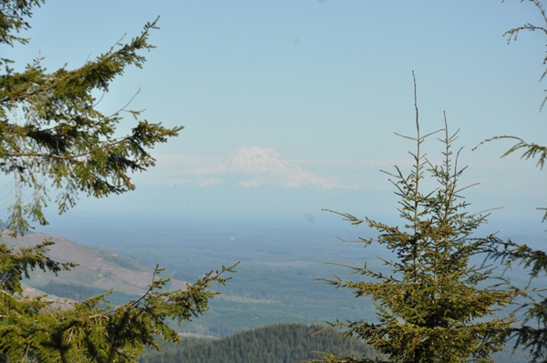 Mount Rainier 