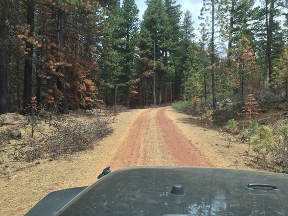 Driving up Trout Creek Butte