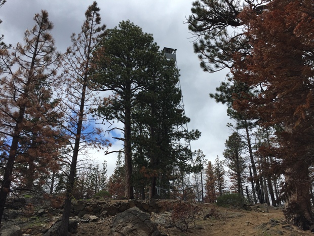 trout creek butte 