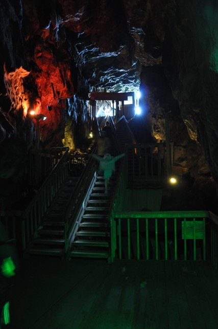 sea lion cave