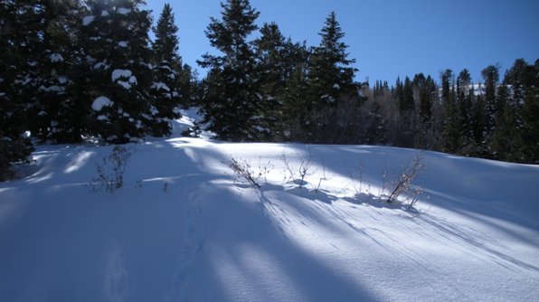 Maple Mountain snowshoe