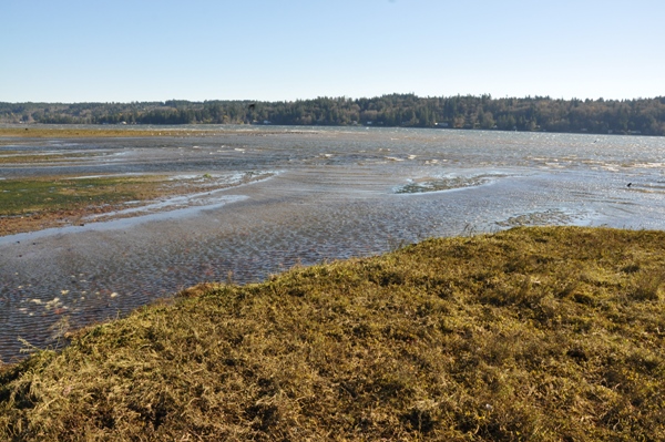 hood canal wa