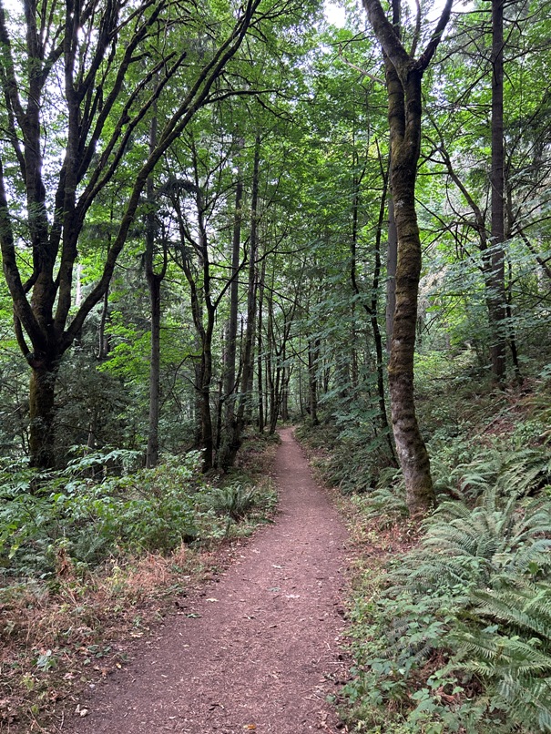 Chambers Creek Trail 