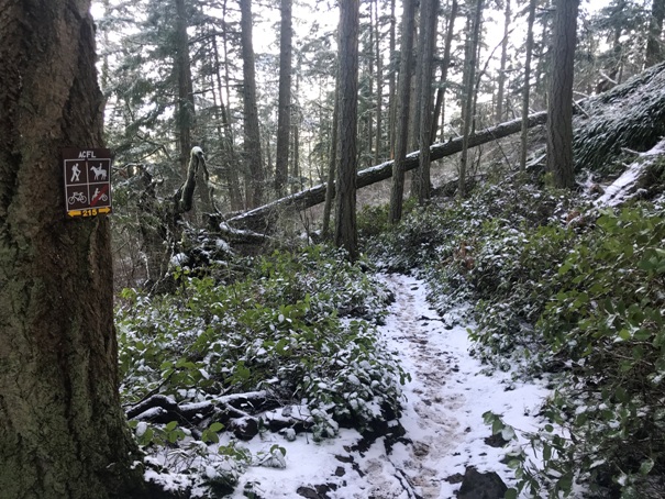 Sugarloaf Mountain Trail
