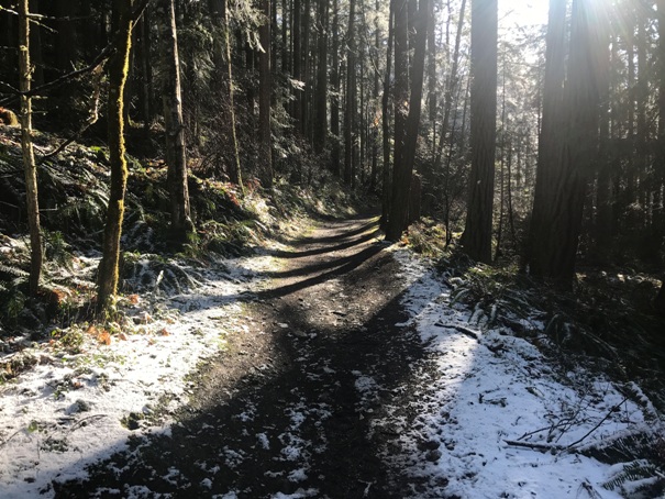 Sugarloaf Mountain Trail