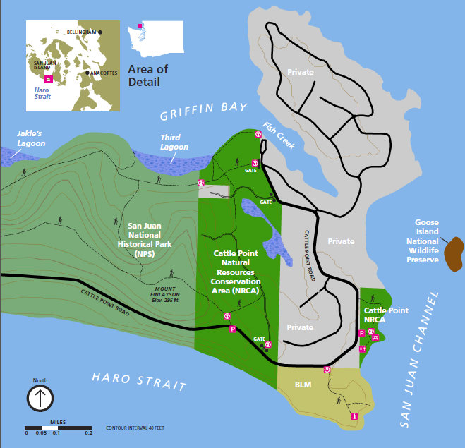 cattle point trail map