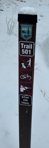trail 501