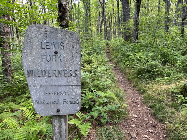 Lewis Fork Wilderness