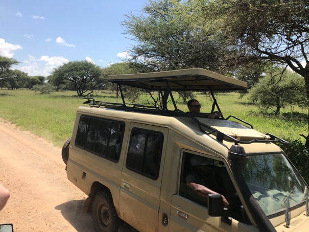 safari vehicle