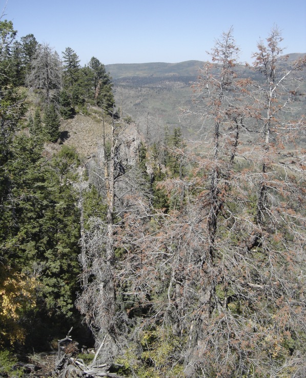 Uinta Mountains