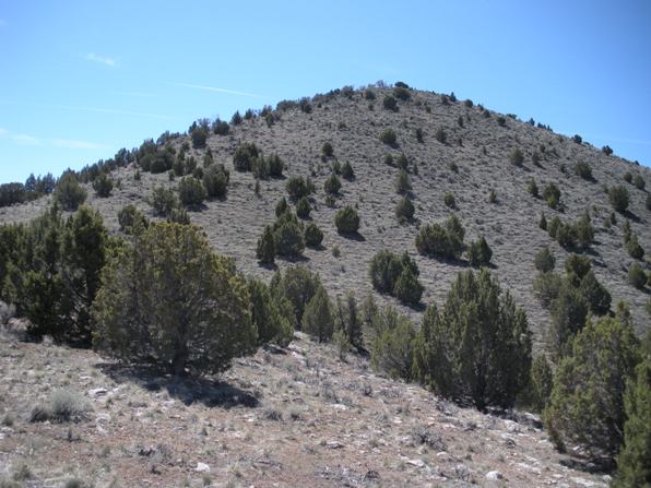 Sugarloaf from the upper trail 