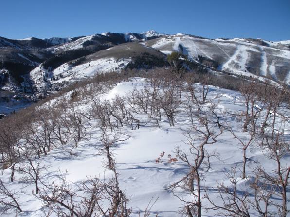 Wasatch Mountains 