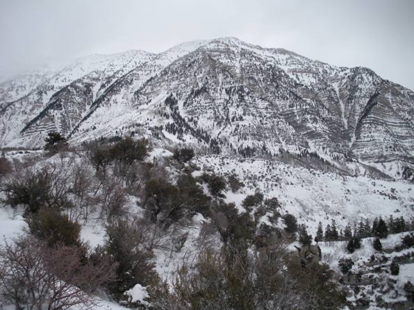 Cascade Mountain 