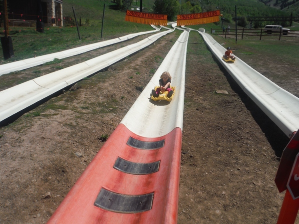 alpine slide