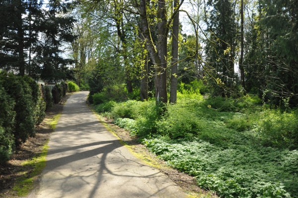 cedar lanes