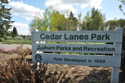 Cedar Lanes Park 