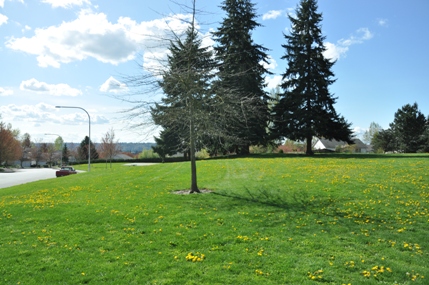 Rotary Park 