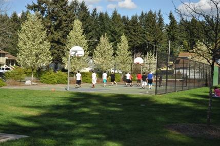 Shaughnessy Park 