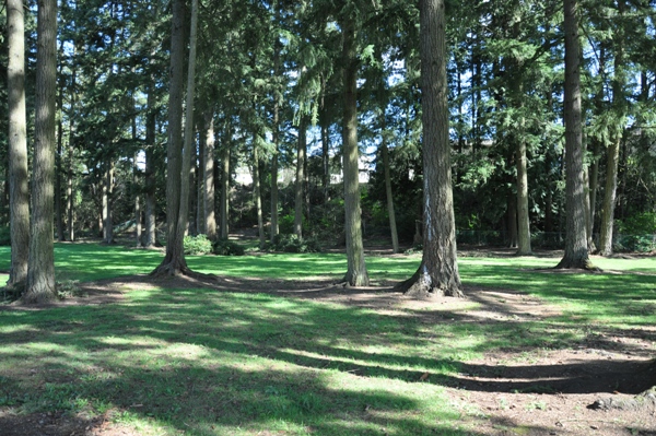 Shaughnessy Park 