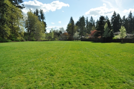 Shaughnessy Park 