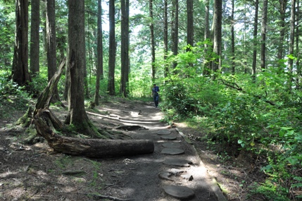 cape flattery trail