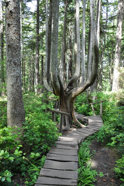 cape flattery