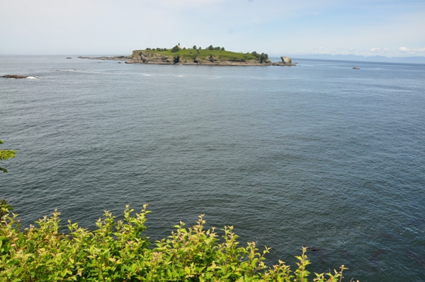 Tatoosh Island