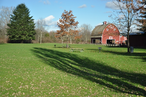 Red Barn 