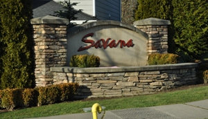 savana