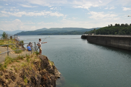 Riffe Lake fish