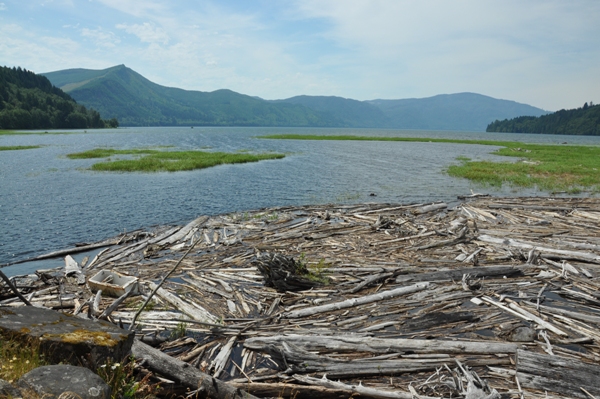 Riffe Lake