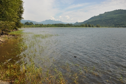 Riffe Lake