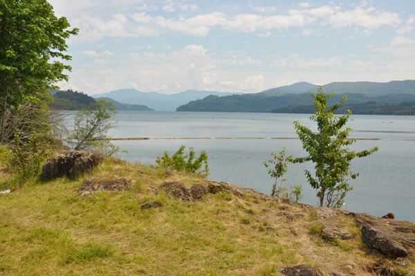 Riffe Lake 