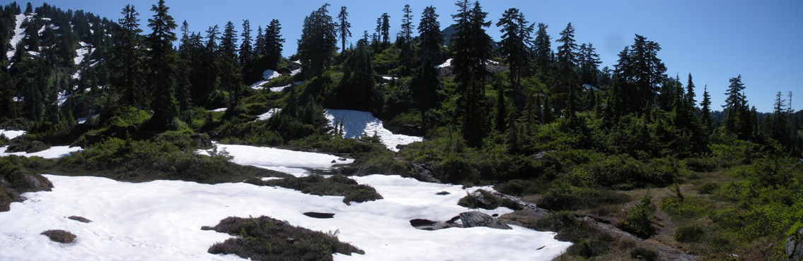 Cutthroat Lakes area