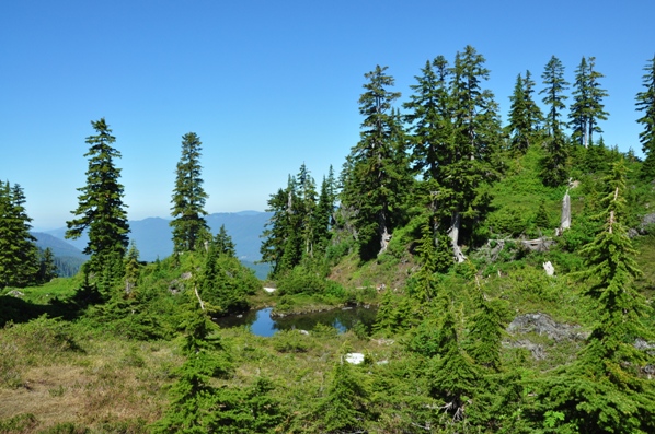 Cutthroat Lakes area