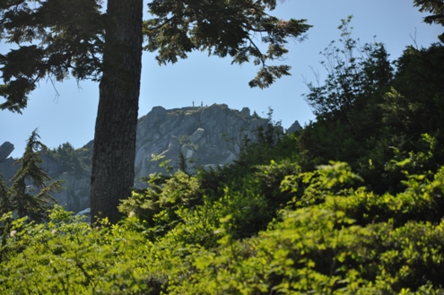 Summit of Bald Mtn.