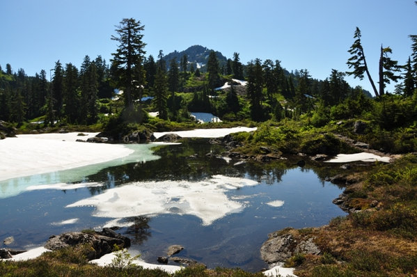 hiking the walt bailey trail