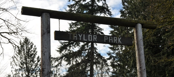 taylor park