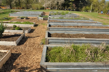 community garden