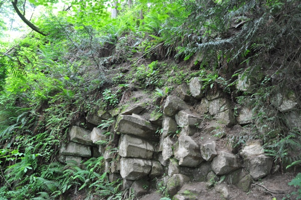 Columnar basalt 