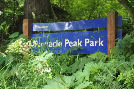 Pinnacle Peak park