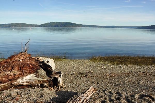 hood canal beach