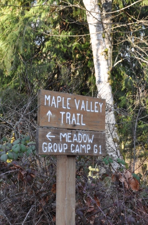 maple valley trail